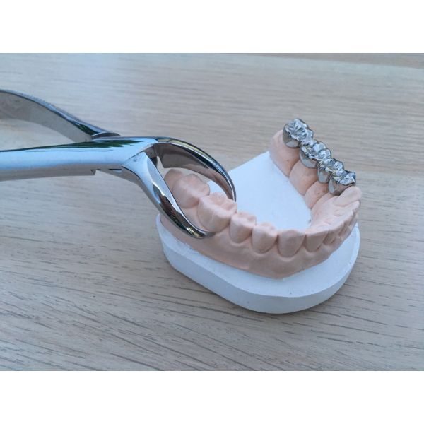 Stainless Steel Dental Extraction Forceps 500 / 87 For Lower Jaw #6 #7 Molar