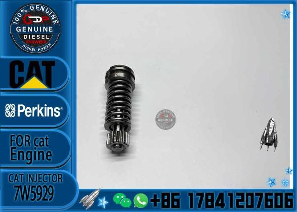 Diesel Fuel Injection Pump Plunger 1w6541 4p9830 9h5797 6n7527 Plunger Barrel 7W5929 Element for CAT 3304 3306 Diesel En