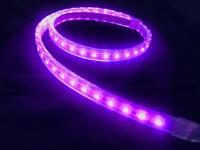 luz de tira flexível exterior do diodo emissor de luz do PVC 120V 220V de 50m RGB IP67