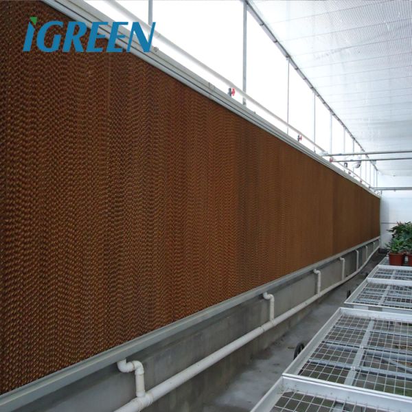 Équipement agricole pour la culture de tomates, ventilation de toit, serre multi-travées