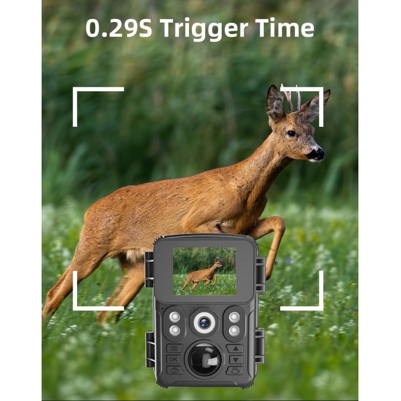 Factory Direct 720P HD Trail Hunting Camera Outdoor Wildlife Waterproof IR Night Vision Trail Camera Animal Trap Mini Camera