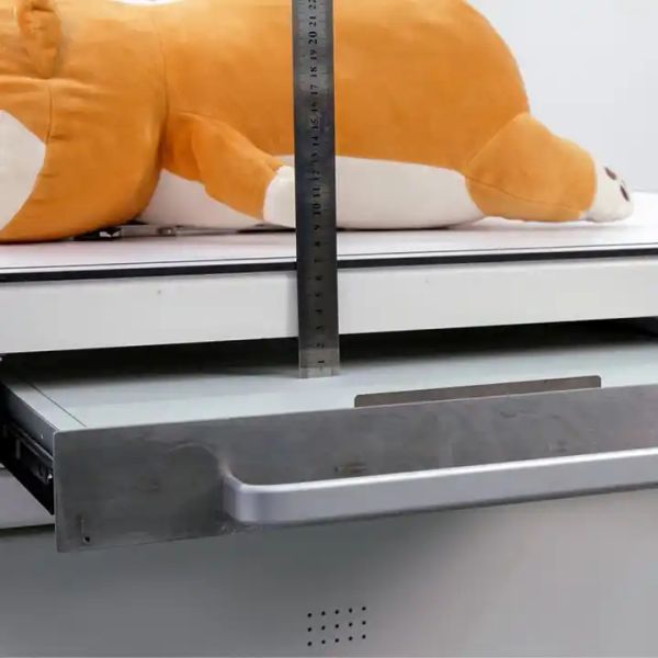 20KW Digital X Ray Machine High Frequency Medical 110kV For Veterinary Clinic