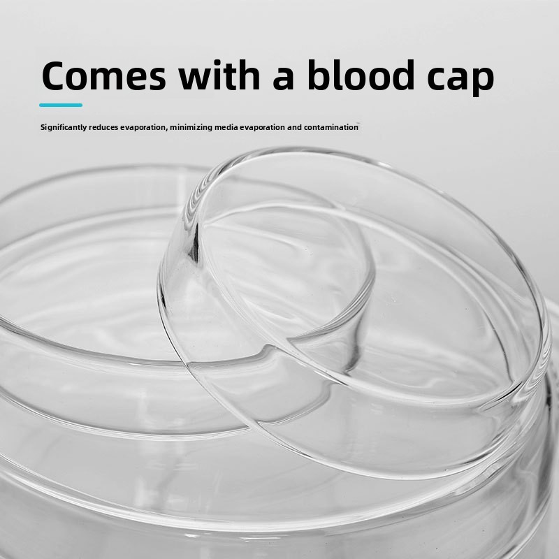 Glass Petri Dishes 90mm 60mm 75mm 120mm 150mm 180mm Cell Culture High Borosilicate Flat Model Fifty Jiangsu Origin