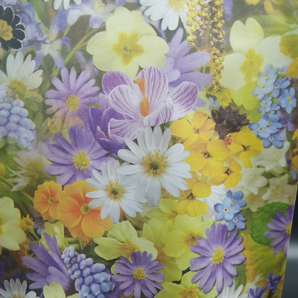 Customizable Compostable Packaging Bags With Grip Seal For Snack Food