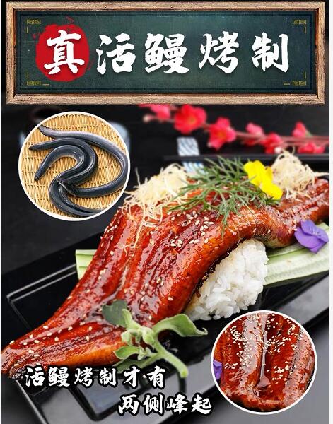 Wholesale   Customized Japanese   Frozen Seafood  Kabayaki Frozen Roasted Unagi Eel
