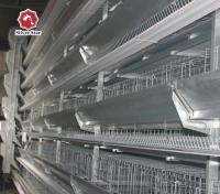 O tipo o mais novo rede de arame de aço galvanizada do projeto H do tamanho grande das gaiolas de bateria