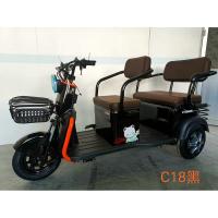 90KM 2 Person Electric Trike Adult Elderly Transporting Children