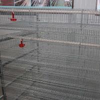 A criação de animais interna das codorniz da exploração agrícola prende 6 codorniz de 12 células das séries 288