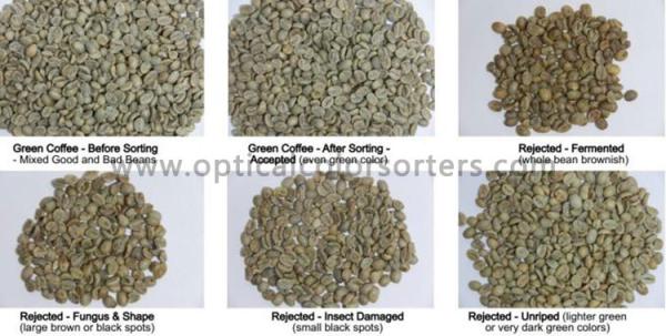 High Accuracy Green Coffee Bean Optical Sorting Machine With Cloud Interconnection System