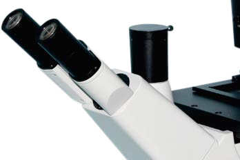 5-Position Nosepiece Inverted Biological Microscope B50i