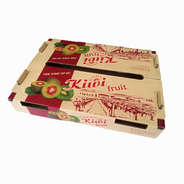 Caixa de presente ondulada sustentável multicolorido para o empacotamento do fruto Leakproof