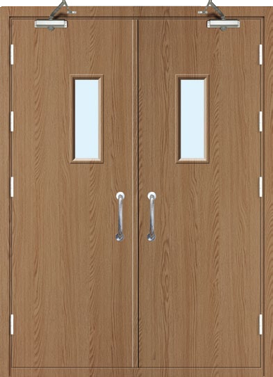 Factory Direct Sales Wood Grain Steel Main Gate Design Double Fire Door with Smart Lock