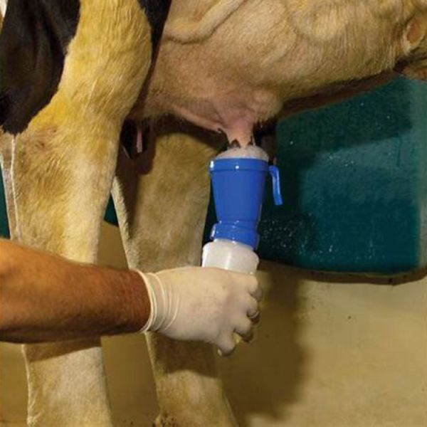 PP PE Capacity 300ml Teat Dip Cup Environmental Friendly