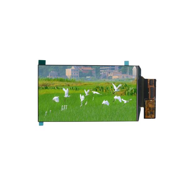 5.0 Inch HD OLED Small Screen Module 350cd/M2 720*1280 Pixel