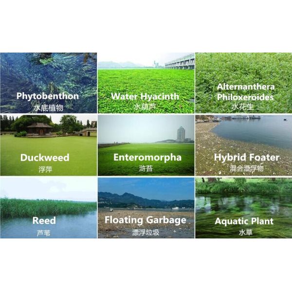 Diesel Automatic Skimmer Aquatic Weed Harvester with 3000 sqm Work Ability 1.5M Cutting Width and Automatic Discharge