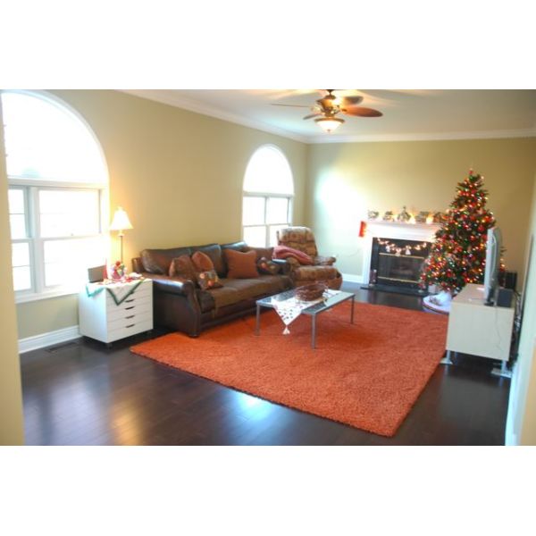 2015 new design carbonized Strand Woven Bamboo Flooring tawny & light hot sales