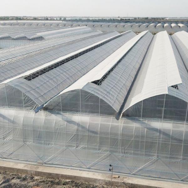 Estufas agrícolas comerciais de grama com sistema de aquecimento eléctrico ou de água