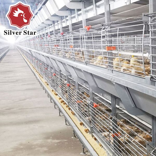 85*62.5*50 Cm Size Broiler Chicken Cage H Type