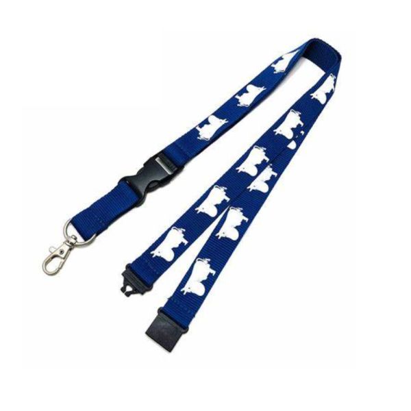 Personalized Breakaway Flat Polyester Lanyard Plastic Woven Pantone Color