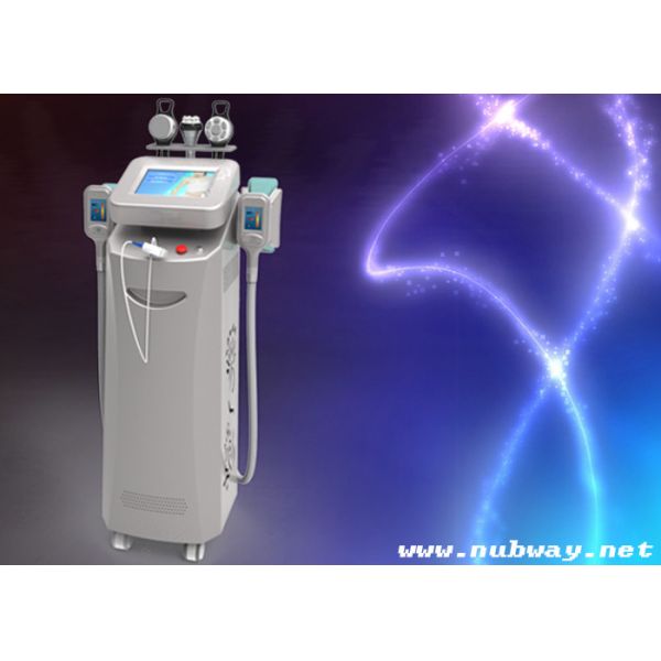 Italy water pump multi-functional 1800W cryolipolysis machine with cavitation