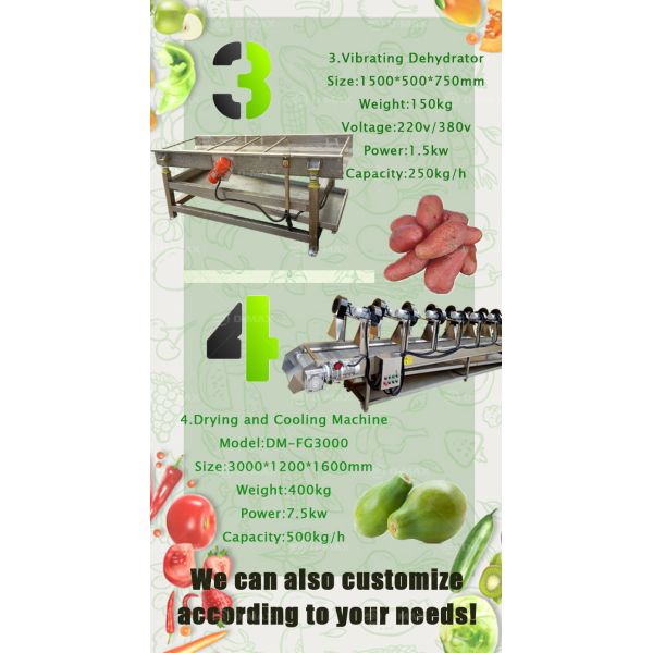 Ginger Sweet Potato Cleaner for Speed Adjustable Vegetable Cleaning and Drying Line