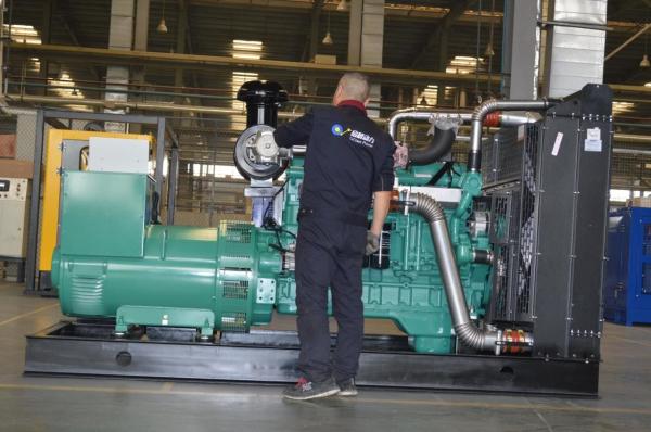 Brand New Natural Gas Generator with Reliable Gas Engine