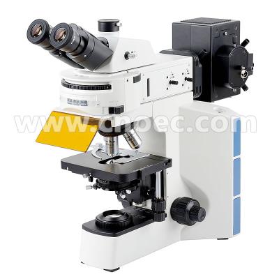 40x - 1000x que aprende o plano A16.0908 da infinidade do microscópio de fluorescência