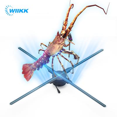 65cm 3D hologram display fan Wifi Cloud Remotely Control 60W