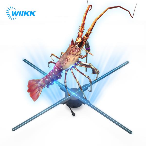 65cm 3D hologram display fan Wifi Cloud Remotely Control 60W