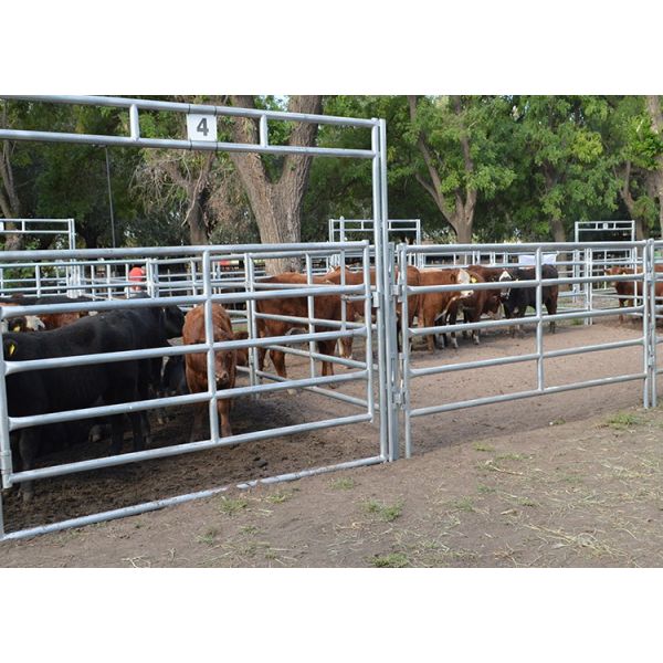 Farm Interlocking L4m Livestock Fence Panels