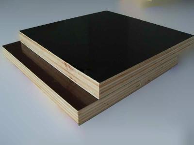 1250mmx2500mmm or 1220mmx2440mm Construction Film Faced Plywood marine plywood with good price