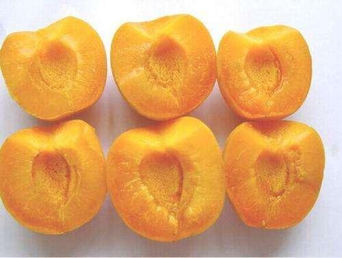 High Quality IQF Frozen Apricot Halves Hot Sales for Wholesale and Retail Factory Price Water Preservation Bulk Packaging