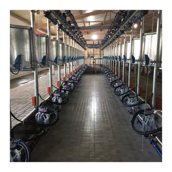 Parallel Quick Release Automatic Cow Milking Parlor Electric Milk Meter