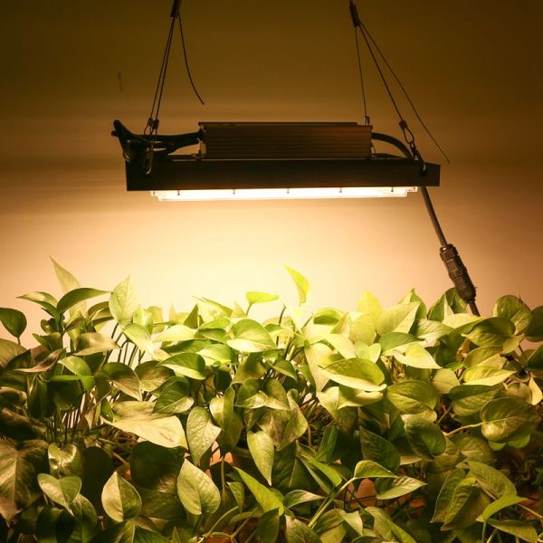120w Hydroponics LED Grow Lights 3500k Dimmable IP65 Rated Waterproof