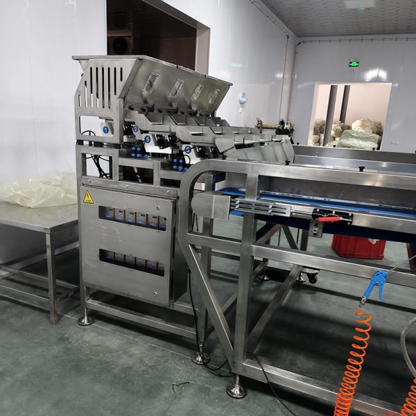 Intelligent Tea Color Sorting Machine, Suitable For Complex Materials, Ensuring Sorting Accuracy