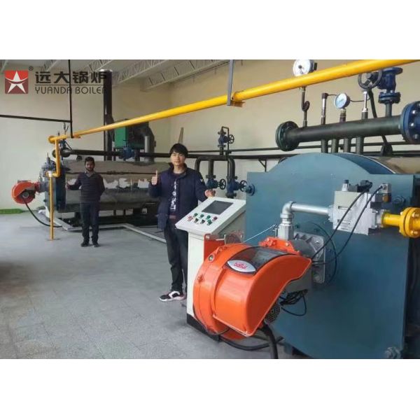 Industrial Thermal Oil Heater Boiler Gas Diesel Oil Fired Circulation High Efficiency
