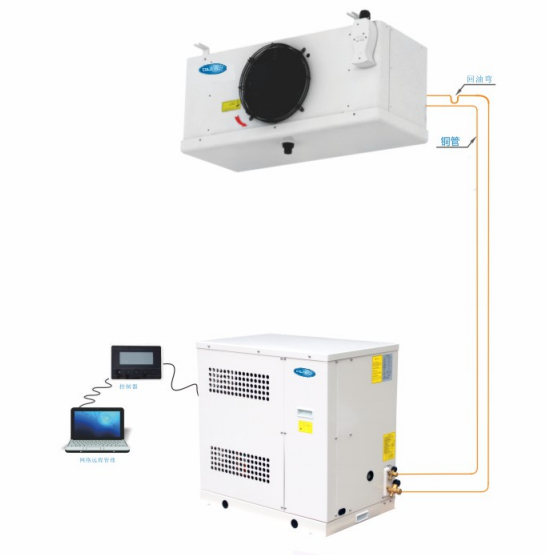блок комнаты замораживателя 220V 50Hz конденсируя