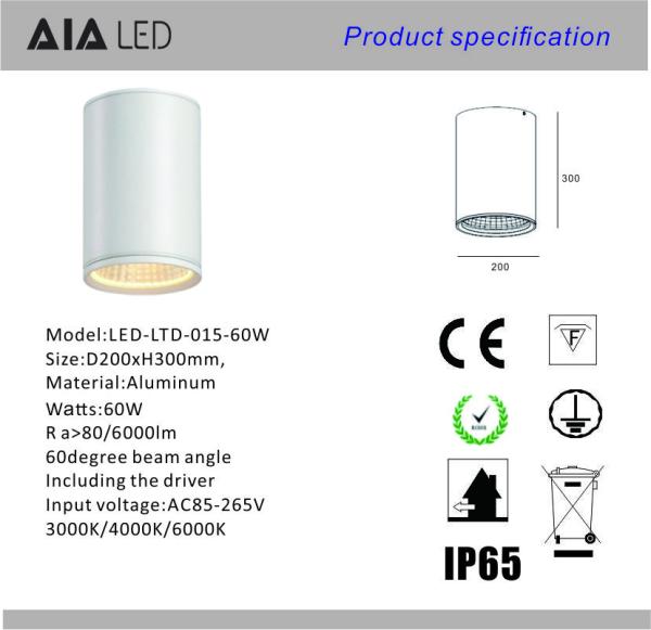 IP65 waterproof surface mounted downlight 60W DALI dimmable exterior led down light &exterior downlight