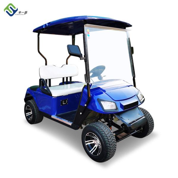 Carro de golfe elétrico off-road personalizado 30 mph ODM