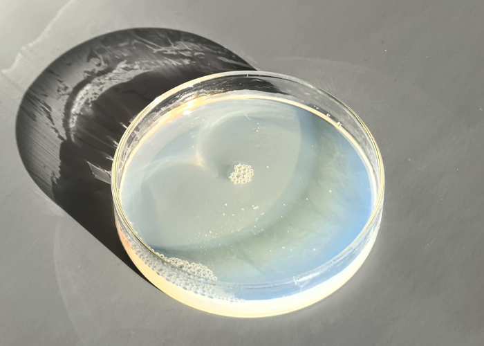 Industrial Grade Polyurethane Elastomer Resin For Process Reliability