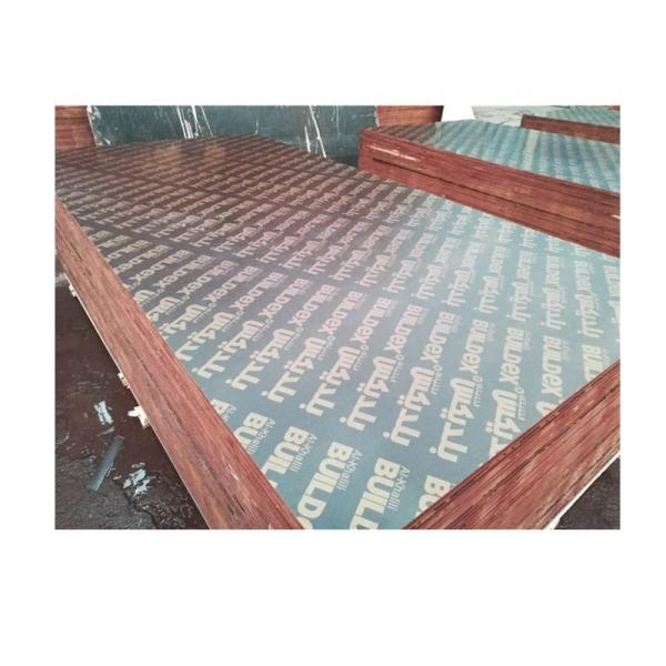 Construction Two Times Hot Press 4x8 Plastic Film Faced Ply