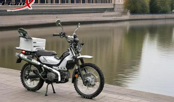 Single Cylinder Chrome CUB Motorcycle 125cc Motocross Bike 2.1l Off Road Dirt Bike