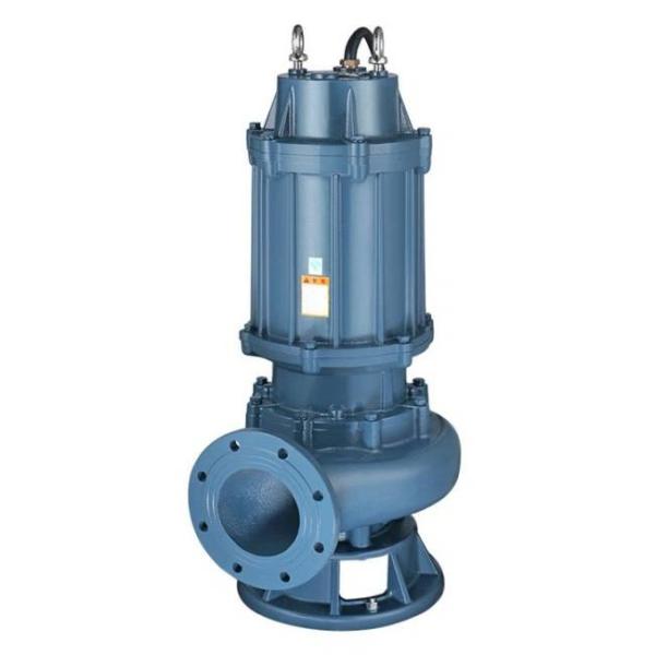 Anti-Clogging Submersible Sewage Pump For Chemical Petroleum And Pharmaceutical Industries