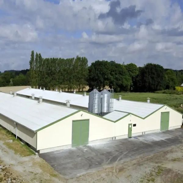 Prefab Steel Structure Chicken House for Poultry Farm Chicken Shed Metal Farm Shed Building