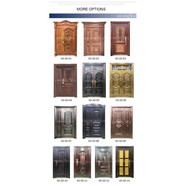 France Style  Advanced Stainless Steel Door Good Quality Superior a Class Locksystem Israel Security Door