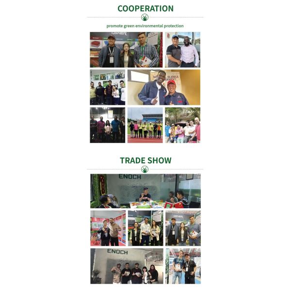 Hot Sale Free Sample Best Price Premium 50mm Artificial Grass for Professional Football Fields