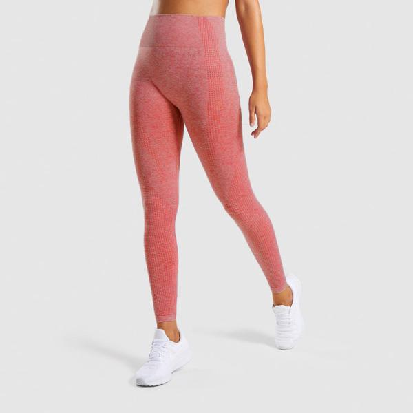 Breathable Gym Yoga Pants High Waisted Seamless Gym Leggings For Women Fitness / Running
