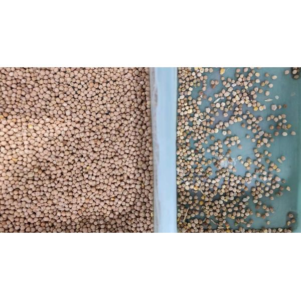 Самая последняя сортировщица цвета фасолей нута СИД CCD рыночной цены популярная в США