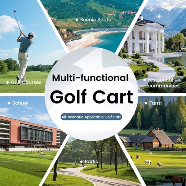 Black 4 Seater Luxury Electric Golf Cart Premium Shuttle for Hotel & Resort