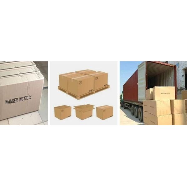 3941742 3901175 3906414 Excavator Oil Pump 6bt 6BT5.9